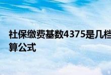 社保缴费基数4375是几档 缴费基数4375退休后拿多少附计算公式 