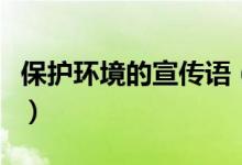 保护环境的宣传语（保护环境的宣传语有哪些）