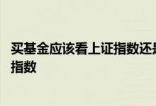 买基金应该看上证指数还是深证指数 买基金为什么要看上证指数