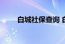 白城社保查询 白城个人社保卡查询