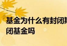 基金为什么有封闭期2年 两年持有期基金是封闭基金吗