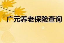 广元养老保险查询 广元个人养老保险查询