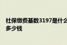 社保缴费基数3197是什么档次 交15年退休后领退休金能领多少钱 