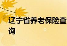 辽宁省养老保险查询 辽宁省个人养老保险查询