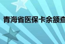 青海省医保卡余额查询 青海省医疗保险查询