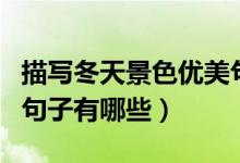 描写冬天景色优美句子（描写冬天景色优美的句子有哪些）