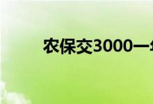 农保交3000一年领多少 怎么查询 
