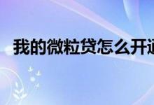 我的微粒贷怎么开通（详细流程告诉你！）