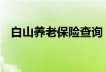 白山养老保险查询 白山个人养老保险查询