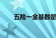 五险一金基数是什么意思 有哪几档 