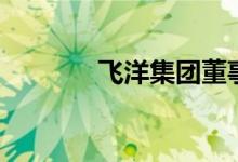 飞洋集团董事长（飞洋转运）