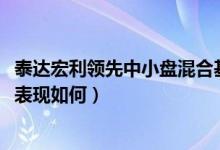 泰达宏利领先中小盘混合基金怎么样（基金2021年第三季度表现如何）