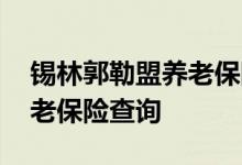 锡林郭勒盟养老保险查询 锡林郭勒盟个人养老保险查询