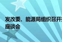 发改委、能源局组织召开推进氢能在电力领域示范应用专题座谈会