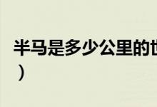 半马是多少公里的世界纪录（半马是多少公里）