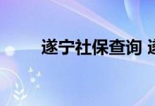 遂宁社保查询 遂宁个人社保卡查询