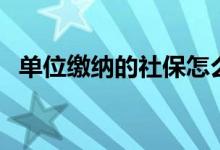 单位缴纳的社保怎么查询 缴费比例是多少 