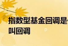 指数型基金回调是什么意思 指数基金中什么叫回调