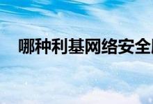 哪种利基网络安全股票是更好的长期投资