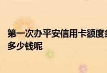 第一次办平安信用卡额度多少左右 办平安信用卡申请额度有多少钱呢