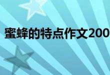 蜜蜂的特点作文200字（蜜蜂的特点有哪些）