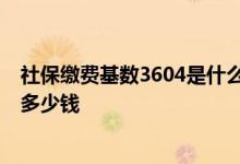 社保缴费基数3604是什么档次 交15年退休后领退休金能领多少钱 