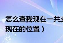 怎么查我现在一共交了多少养老金（怎么查我现在的位置）