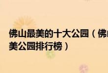 佛山最美的十大公园（佛山风景最漂亮的公园有哪些佛山最美公园排行榜）