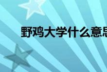 野鸡大学什么意思（野鸡大学的意思）