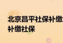 北京昌平社保补缴怎么办 北京昌平个人如何补缴社保 