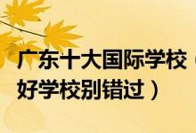广东十大国际学校（广东有哪些好的国际学校好学校别错过）