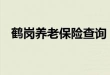 鹤岗养老保险查询 鹤岗个人养老保险查询