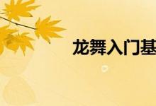 龙舞入门基本动作（龙舞）