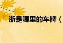 浙是哪里的车牌（浙的车牌是哪个省的）