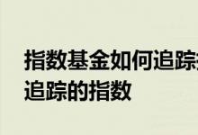 指数基金如何追踪指数的 指数型基金怎么看追踪的指数