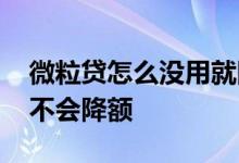 微粒贷怎么没用就降额了 微粒贷长期不用会不会降额