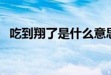 吃到翔了是什么意思啊（吃翔是什么意思）