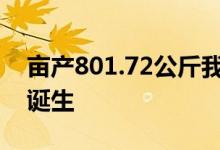 亩产801.72公斤我国超强筋小麦单产新纪录诞生