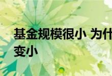基金规模很小 为什么基金亏损基金规模没有变小