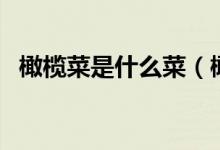 橄榄菜是什么菜（橄榄菜是什么菜做成的）