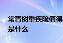 常青树重疾险值得买吗 常青树经典版重疾险是什么
