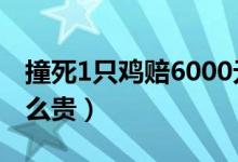 撞死1只鸡赔6000元（1只鸡的价格为什么这么贵）