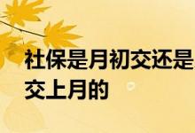 社保是月初交还是月末交 当月交当月的还是交上月的 