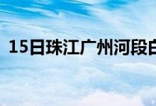 15日珠江广州河段白天潮位预计将全面超警