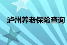 泸州养老保险查询 泸州个人养老保险查询