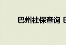 巴州社保查询 巴州个人社保卡查询