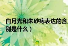 白月光和朱砂痣表达的含义（白月光和朱砂痣表达的含义分别是什么）