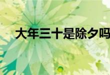大年三十是除夕吗（除夕是不是年三十）