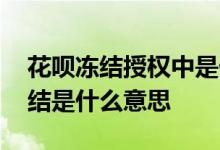 花呗冻结授权中是什么意思 花呗显示授权冻结是什么意思