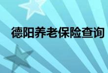 德阳养老保险查询 德阳个人养老保险查询